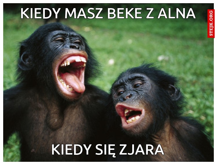 kiedy masz beke z alna
