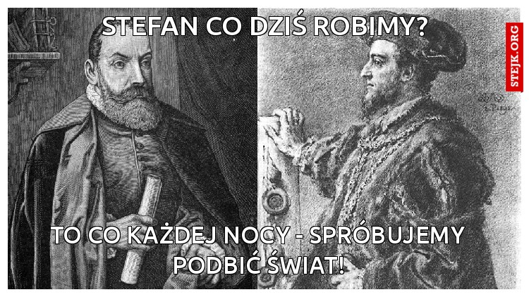 Stefan co dziś robimy?
