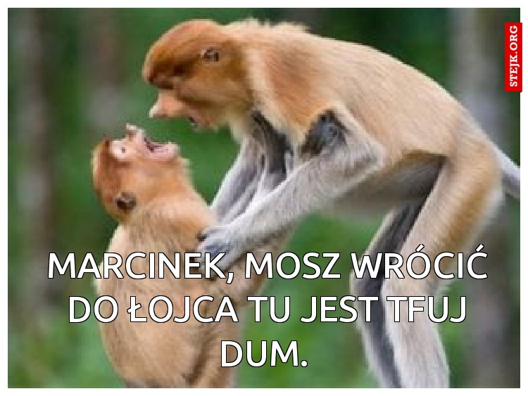 Marcinek, mosz wrócić do łojca tu jest tfuj dum. 