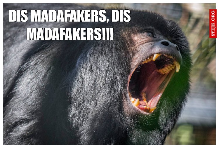 Dis madafakers, dis madafakers!!!