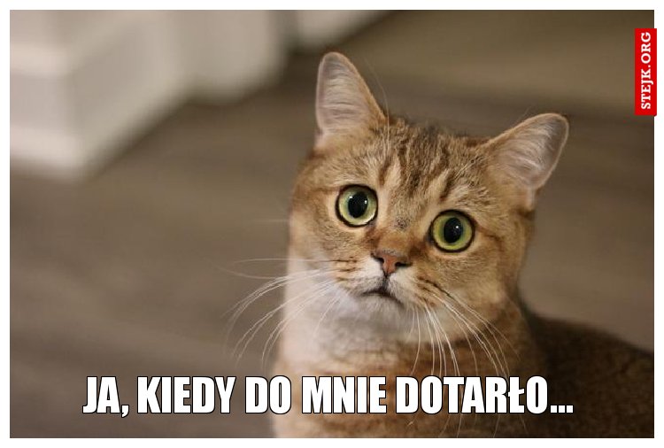 Ja, kiedy do mnie dotarło...