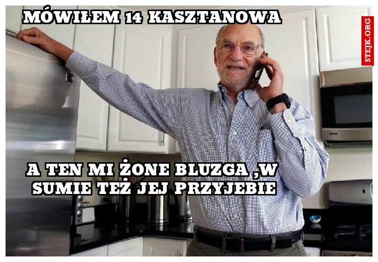 mówiłem 14 kasztanowa