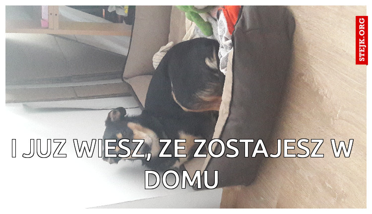 I juz wiesz, ze zostajesz w domu
