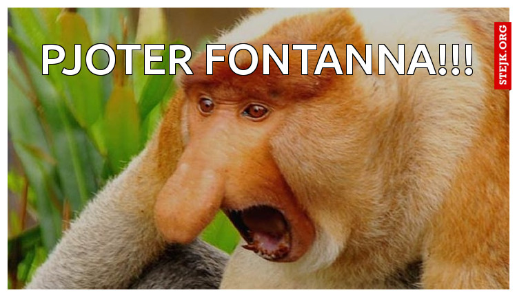 pjoter Fontanna!!!