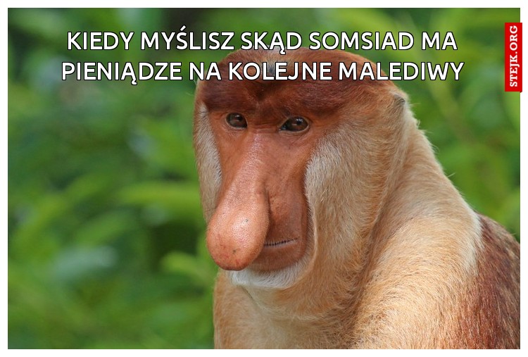Kiedy myślisz skąd somsiad ma pieniądze na kolejne malediwy