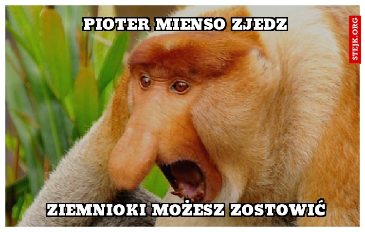 PIOTER MIENSO ZJEDZ 