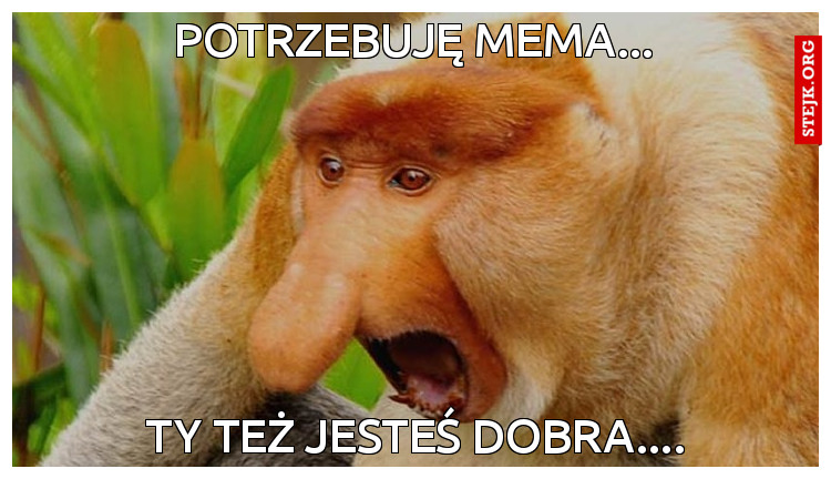 Potrzebuję mema...