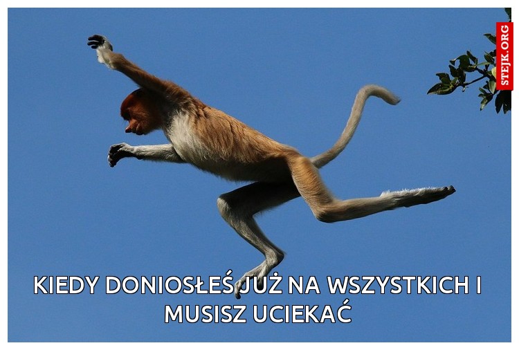 Kiedy doniosłeś już na wszystkich i musisz uciekać
