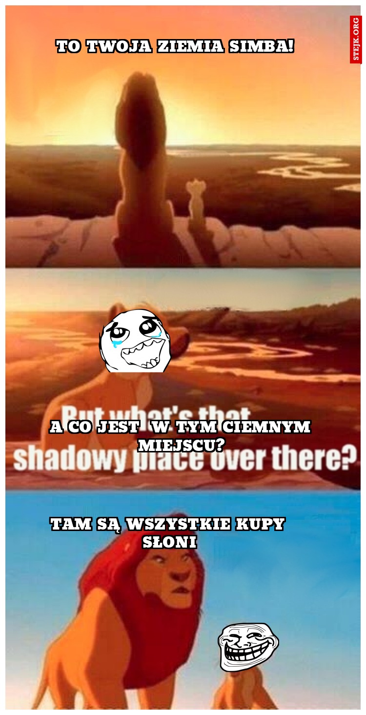 To twoja ziemia simba!