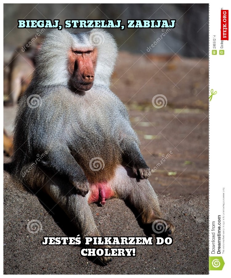 Biegaj, strzelaj, zabijaj