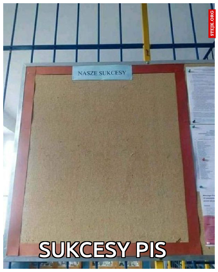 Sukcesy pis