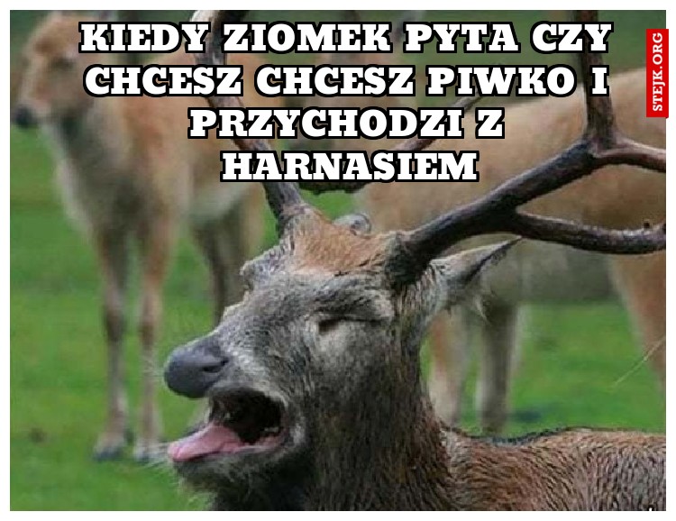 kiedy ziomek pyta czy chcesz chcesz piwko i przychodzi z harnasiem