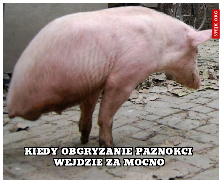 KIEDY OBGRYZANIE PAZNOKCI WEJDZIE ZA MOCNO