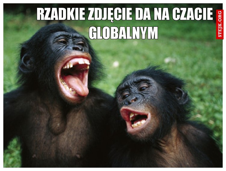 rzadkie zdjęcie da na czacie globalnym 