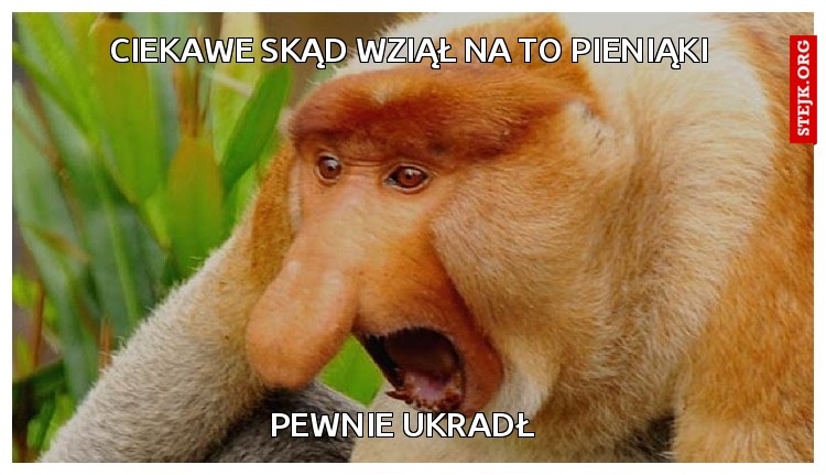 ciekawe skąd wziął na to pieniąki