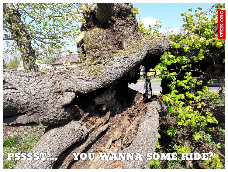 Psssst....    You wanna some ride? 