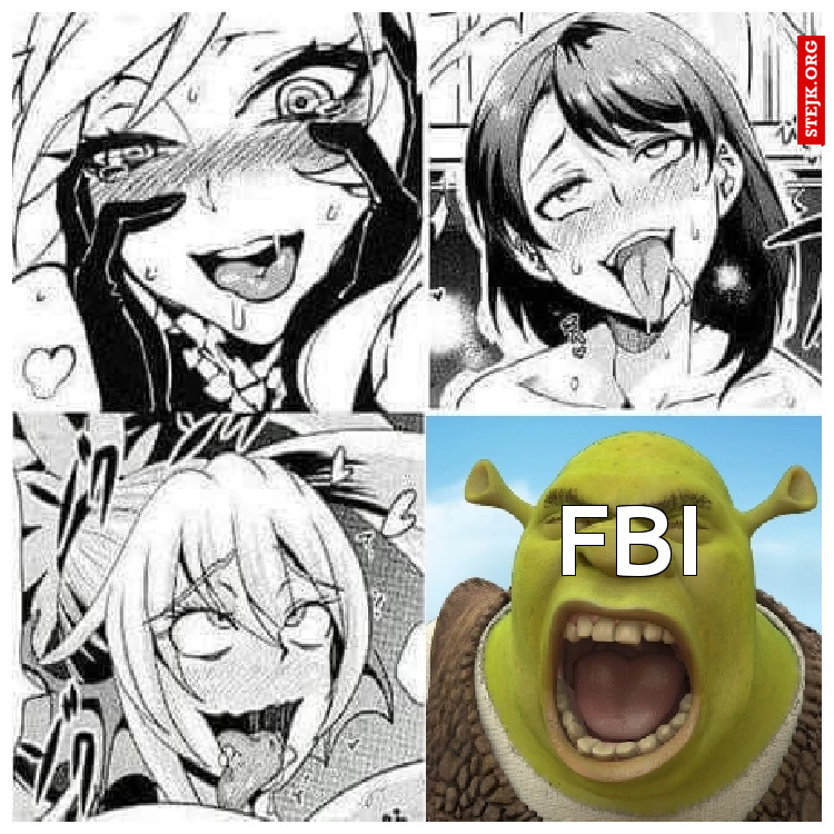 Fbi