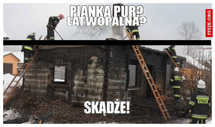 pianka pur?