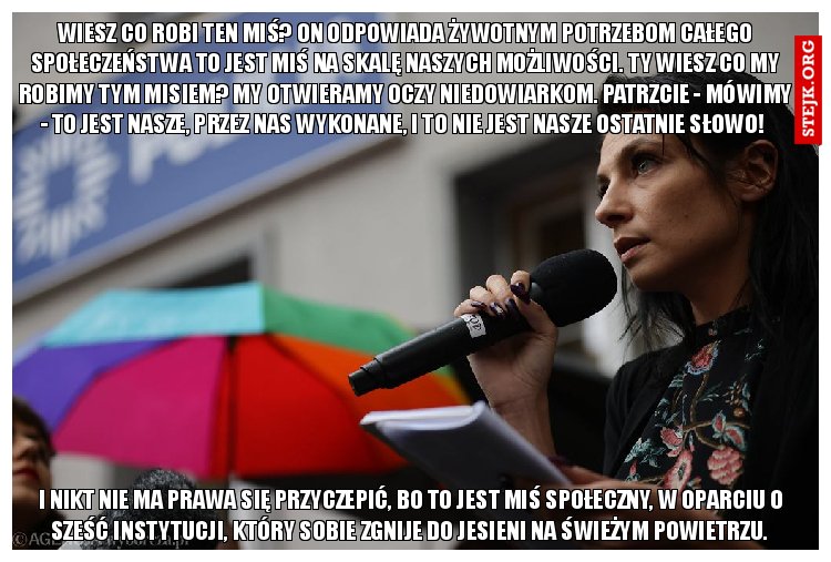 Wiesz co robi ten Miś? On odpowiada żywotnym potrzebom całego społeczeństwa To jest Miś na skalę naszych możliwości. Ty wiesz co my robimy tym misiem? My otwieramy oczy niedowiarkom. Patrzcie - mówimy - to jest nasze, przez nas wykonane, i to nie jest nasze ostatnie słowo! 