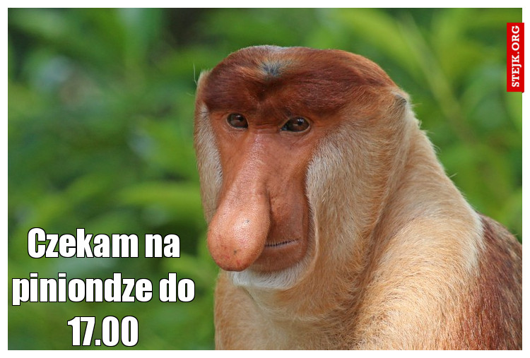 Czekam na piniondze do 17.00