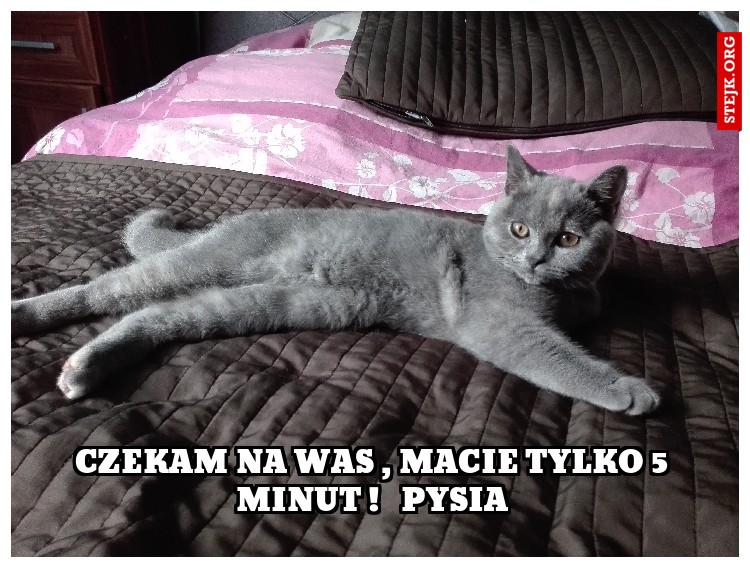 Czekam na was , macie tylko 5 minut !   Pysia
