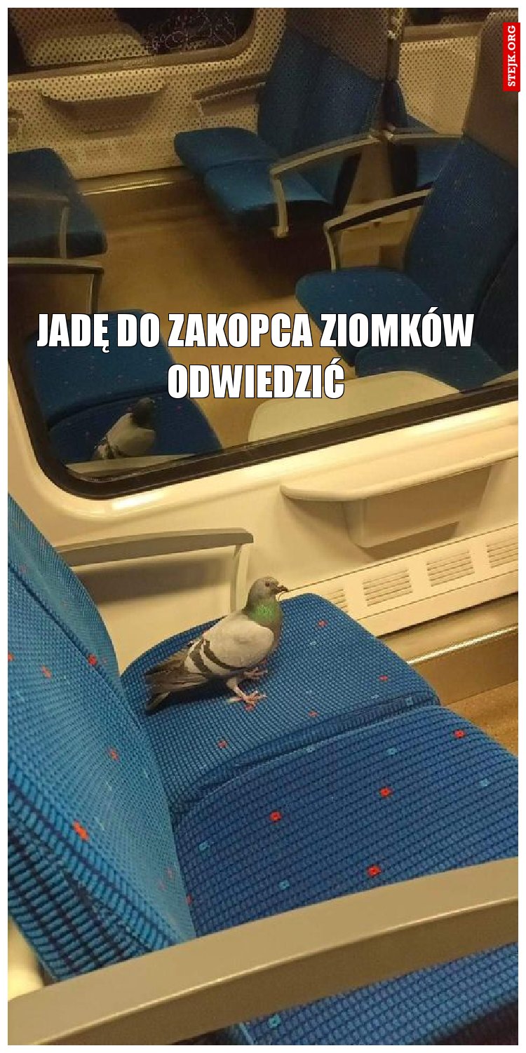 jadę do zakopca ziomków odwiedzić
