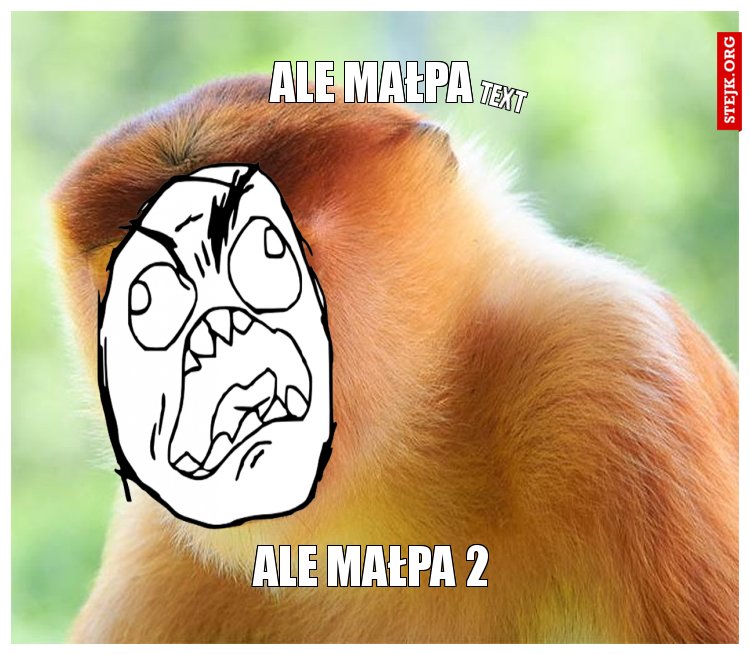Ale małpa