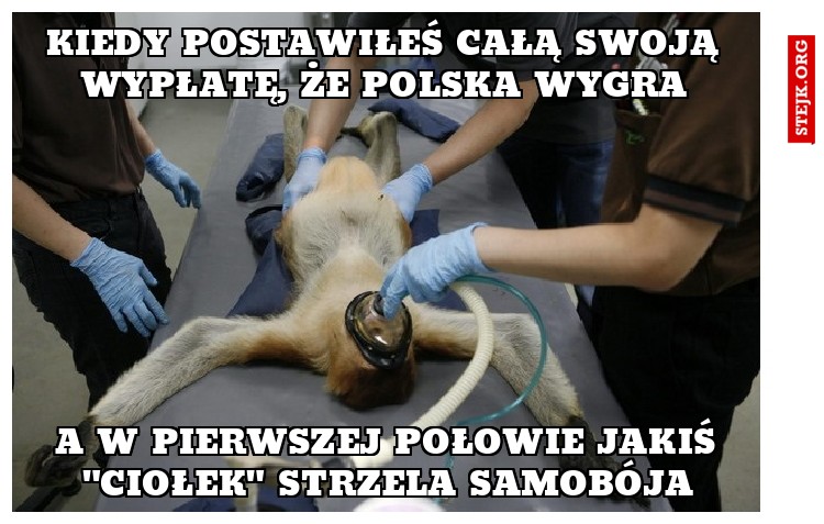 kiedy postawiłeś całą swoją wypłatę, że polska wygra