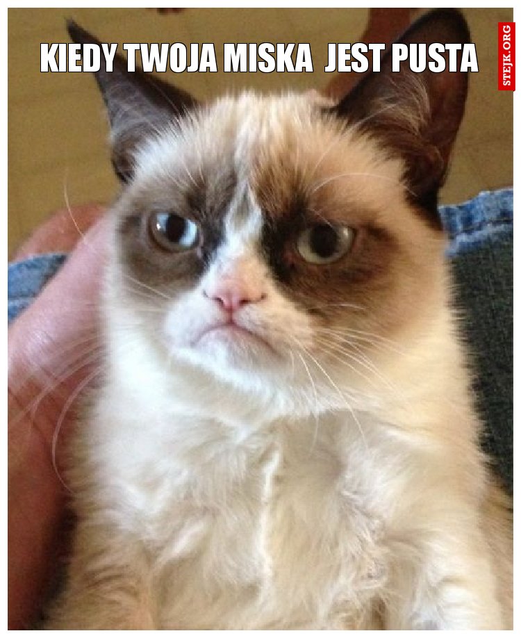kiedy twoja miska  jest pusta