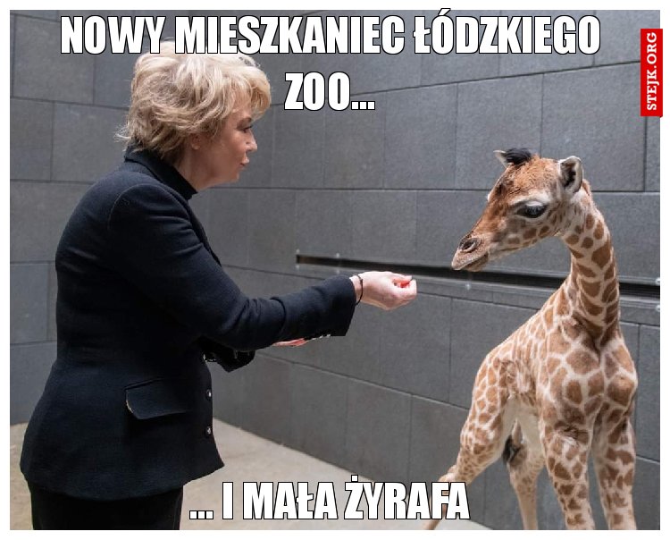 Nowy mieszkaniec łódzkiego zoo...