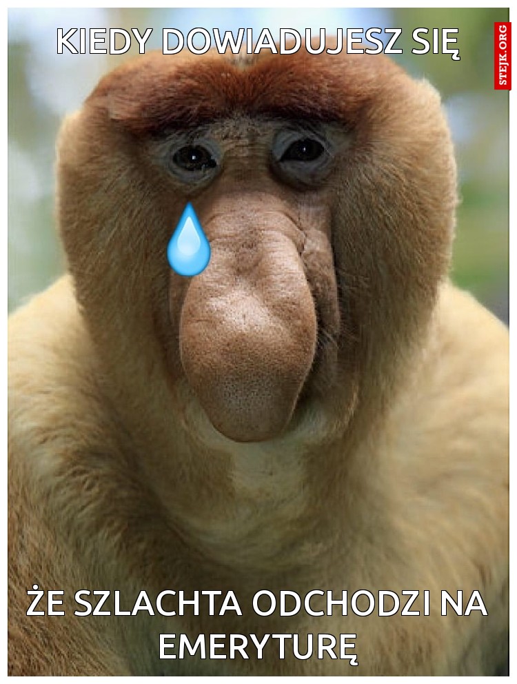 Kiedy dowiadujesz się