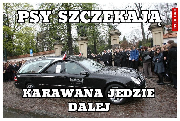 psy szczekają