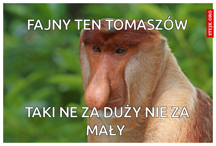 FAJNY TEN TOMASZÓW