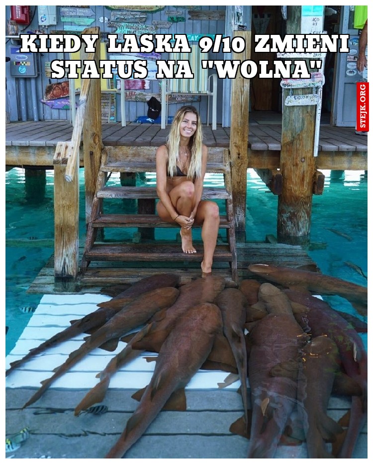 Kiedy laska 9/10 zmieni status na "wolna"