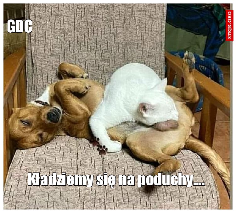 Kładziemy się na poduchy....