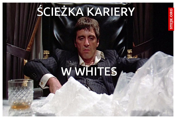 Ścieżka kariery 