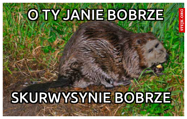 O Ty Janie bobrze 