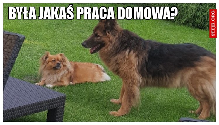 Była jakaś praca domowa?