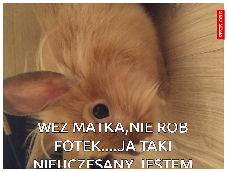 Weź matka,nie rób fotek....ja taki nieuczesany jestem