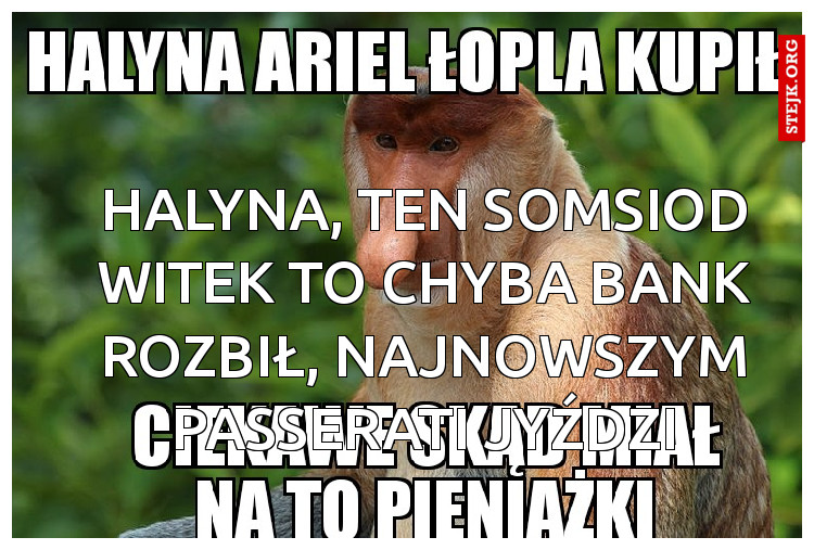 Halyna, ten somsiod Witek to chyba bank rozbił, najnowszym Passerati jyździ