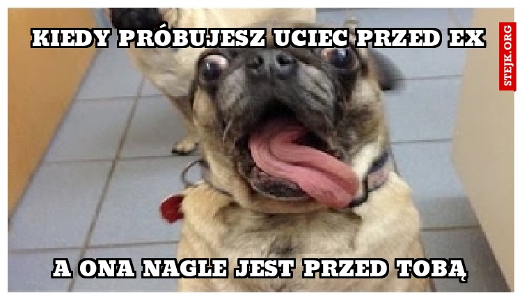 Kiedy próbujesz uciec przed ex