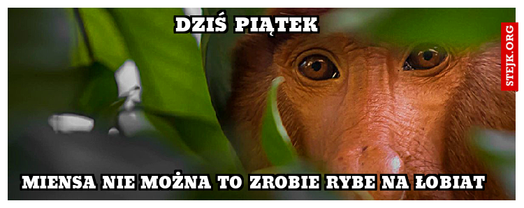 Wódki nie pijesz, do kościoła nie chodzisz