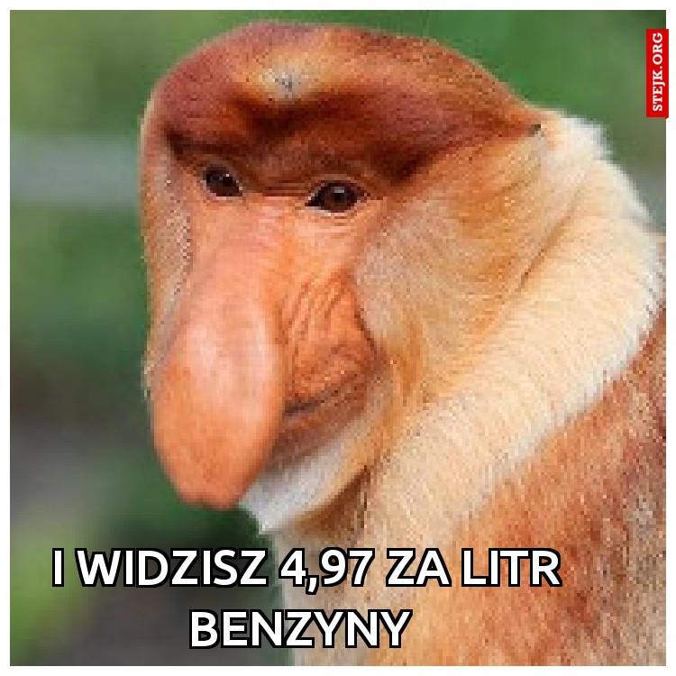 I widzisz 4,97 za litr benzyny 