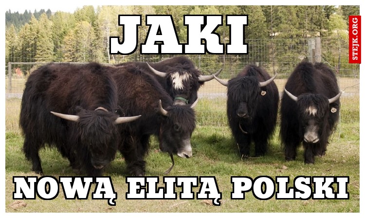 JAKI