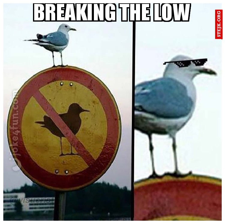 BREAKING THE LOW