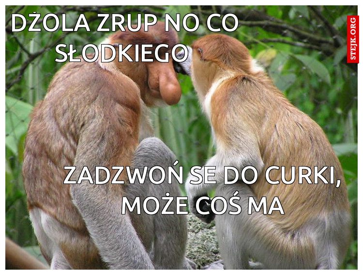 DŻOLA ZRUP NO CO SŁODKIEGO 