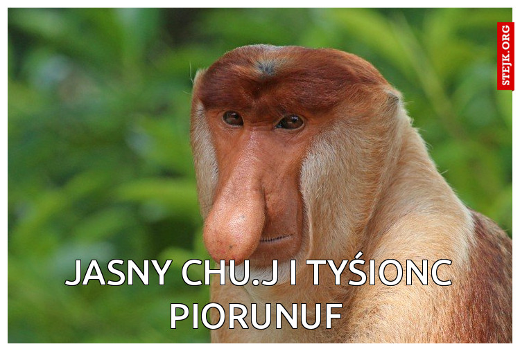 jasny chu.j i tyśionc piorunuf 