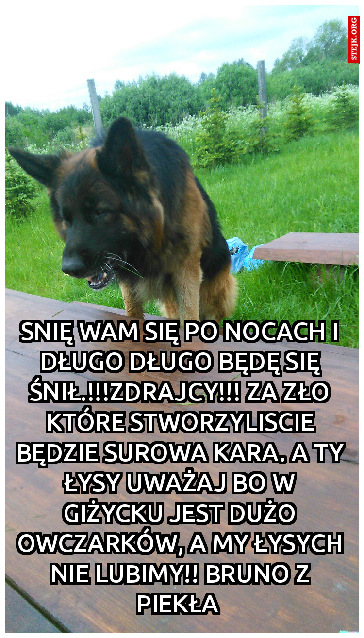 Snię Wam się po nocach i długo długo będę się śnił.!!!ZDRAJCY!!! Za zło które stworzyliscie będzie surowa kara. A TY ŁYSY UWAŻAJ BO W GIŻYCKU JEST DUŻO OWCZARKÓW, A MY ŁYSYCH NIE LUBIMY!! Bruno z piekła 