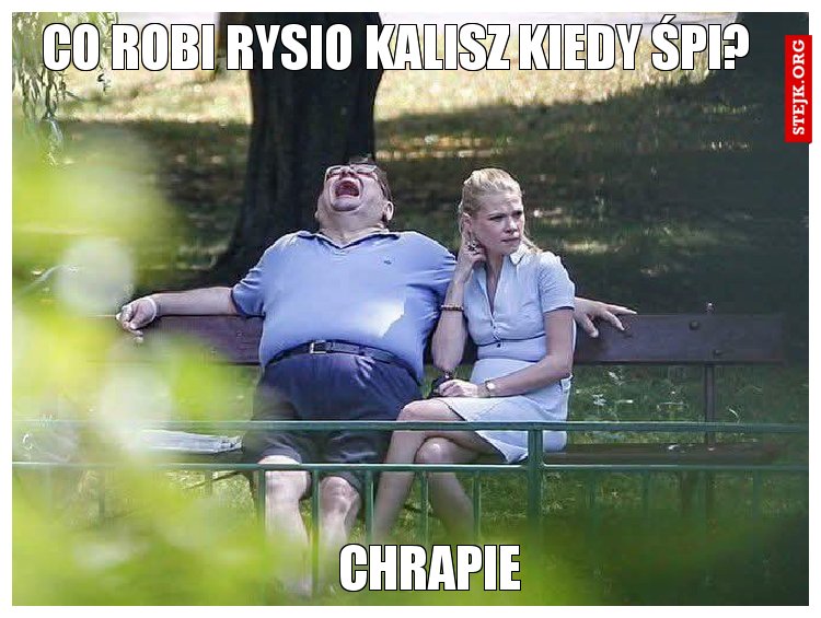 Co robi rysio Kalisz kiedy śpi?