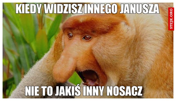 Kiedy widzisz innego janusza